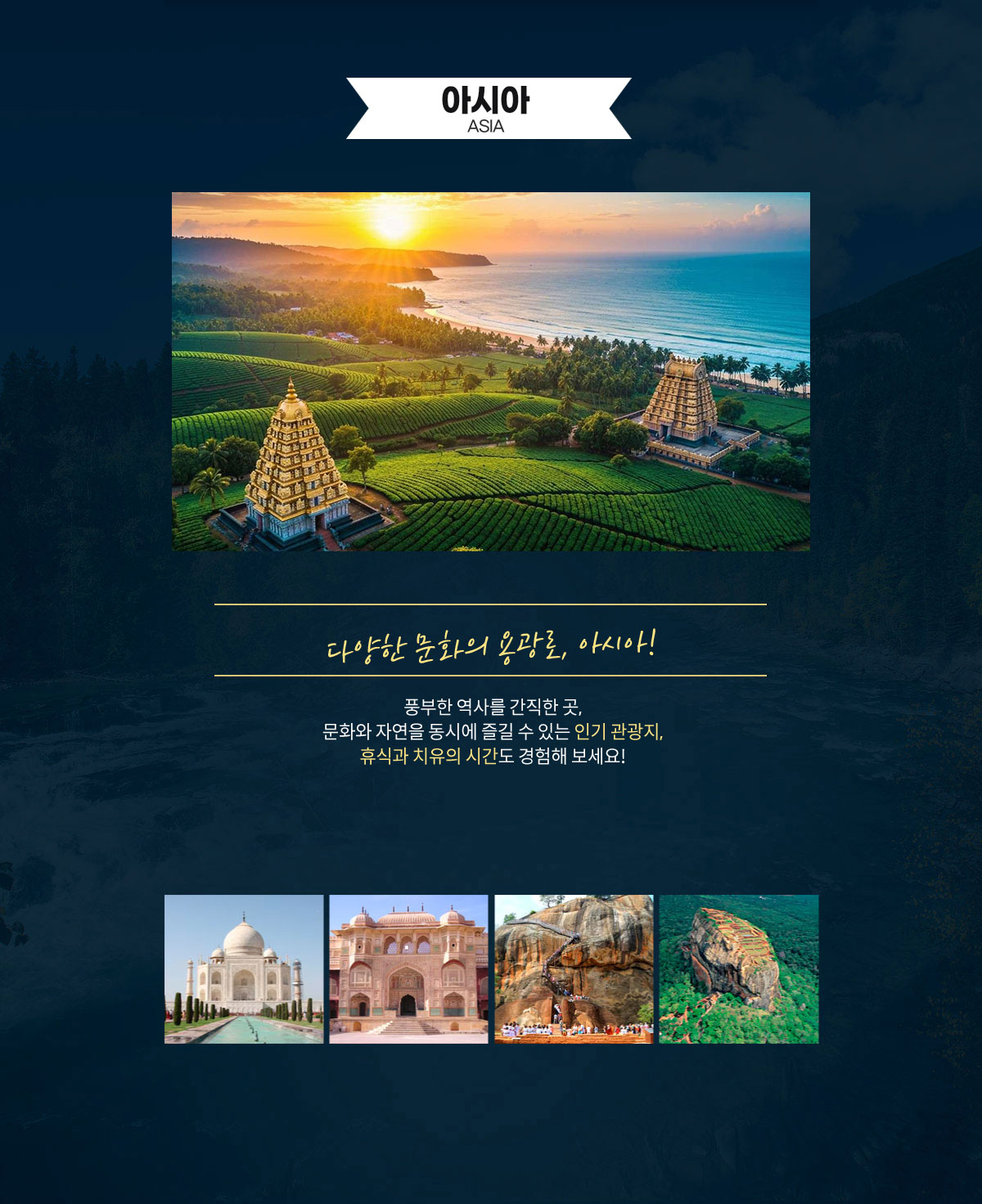 중남미아프리카